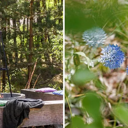 Semesterbostad 2696-aakirkeby-aspesgardsskoven-54 *