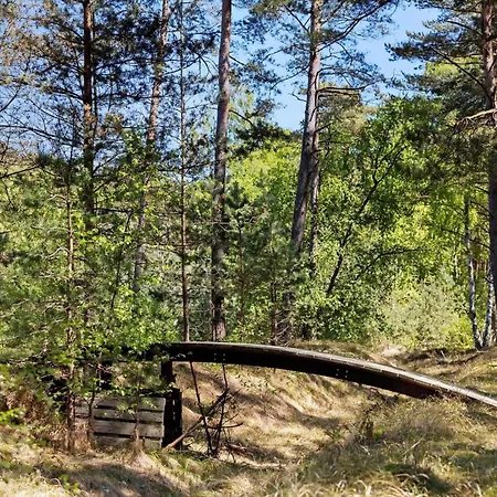2696-aakirkeby-aspesgardsskoven-54